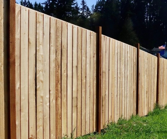 Professional Fence Repair Services